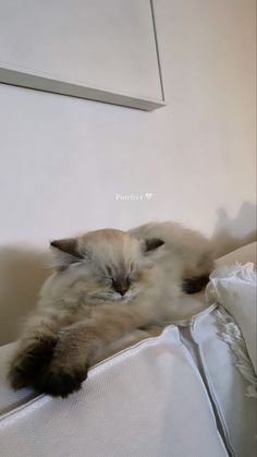 a fluffy cat laying on top of a white bed next to pillows and blankets in a room