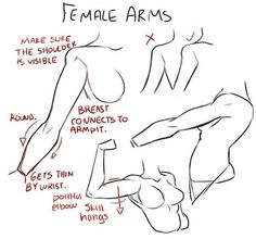 how to draw female arms and legs