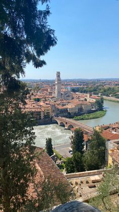 the city is surrounded by water and trees