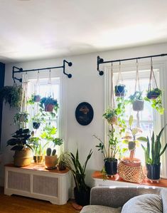 a living room filled with potted plants and hanging plant hooks on the wall next to two windows