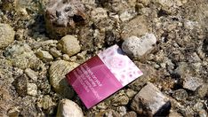 a piece of pink paper sitting on top of rocks