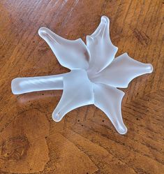 a white flower sitting on top of a wooden table