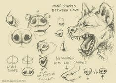 an animal's head is shown with many different facial expressions and other things to draw