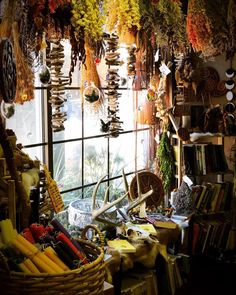 a room filled with lots of different types of items hanging from the ceiling next to a window