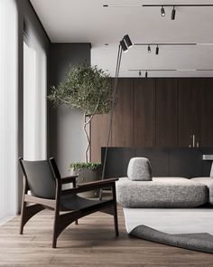 a modern living room with an olive tree in the corner