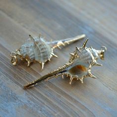 two sea shells sitting on top of a wooden table next to each other and one is gold