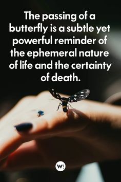 All of the quotes in this article are about death, grief, and loss. They’ll help you express your feelings, and try to maintain a positive outlook on life. butterfly quotes inspirational | beautiful butterflies quotes | butterfly quotes heaven | like a butterfly quotes | death quotes Butterfly Quotes Heaven, Like A Butterfly Quotes, Butterfly Quotes Inspirational, Butterflies Quotes, Beautiful Butterflies Quotes, Quotes Heaven, Nature Quotes Inspirational, Mother Nature Quotes