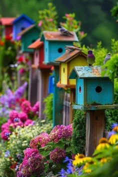 several colorful bird houses are lined up in the garden