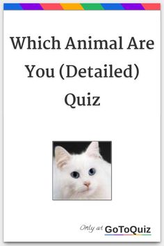 a white cat with the words which animal are you detailed quiz on it's front cover