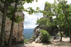 trees and rocks on the side of a mountain