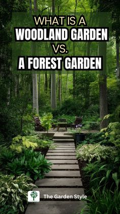 what is a woodland garden vs a forest garden?