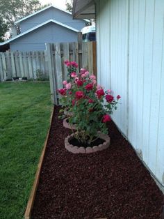 pink flowers in a flower bed next to a white house and fence with grass on the side