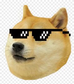 an image of a dog with sunglasses on it's face, looking like he is wearing