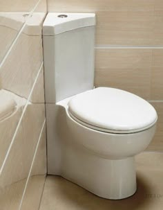 a white toilet sitting next to a wall in a bathroom