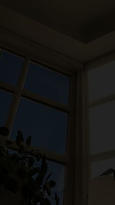 a window with blinds and a plant in front of it at night, lit by the sun