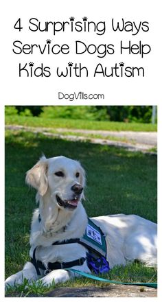 Service dogs can do so many wonderful things for kids with autism! Check out 4 things that may surprise you! Service Dogs Breeds, Psychiatric Service Dog, Service Dogs Gear, Things For Kids, Emotional Support Animal, Therapy Animals