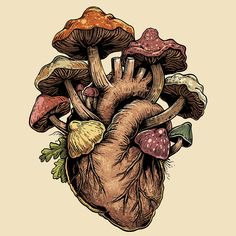 a drawing of a heart with mushrooms growing out of it's sides and on the inside