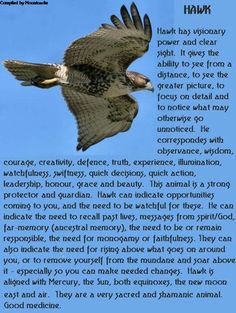 an eagle flying through the air with its wings spread out and it is surrounded by words