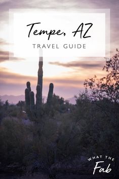 a cactus with the words temper az travel guide over it in front of a sunset