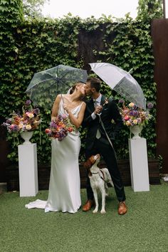 a bride and groom kissing in the rain with their dog under an umbrella at their wedding