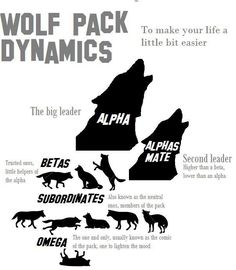 the wolf pack is shown in black and white, with information about how to use it