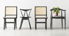 three chairs and a potted plant sit in front of a white wall on the floor