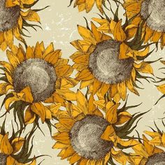 sunflowers are shown on a beige background