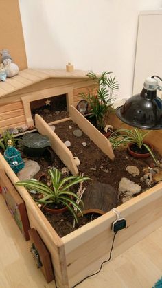 a wooden box filled with plants and rocks