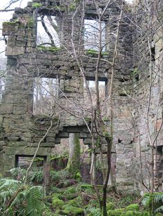 an old stone building with moss growing on the ground and trees in front of it