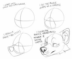 how to draw a cartoon dog's head with different angles and shapes, including the nose