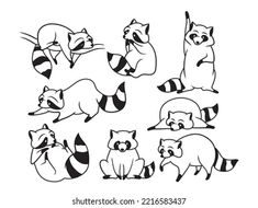 cartoon raccoons and other animals set on white background