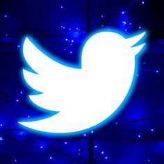 the twitter logo is lit up with blue lights