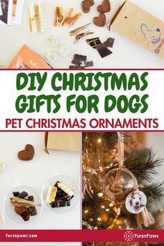 Dog Christmas Presents Gift Ideas Dog Christmas Ornaments Homemade, Christmas Dog Crafts, Dog Photo Christmas Cards, Dog Ornaments Diy, Diy Dog Christmas, Pet Christmas Ornaments, Christmas Gifts For Dogs, Diy Dog Gifts, Christmas Gifts Diy