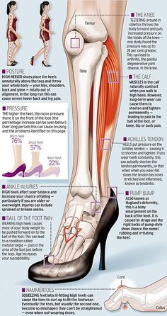 another possible reason for my gimp knee... Muscle Anatomy, Medical Anatomy, Education Motivation, Chiropractic Care, Body Anatomy, Foot Health, Foot Pain, Knee Pain