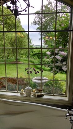 a bath tub sitting under a window next to a lush green park filled with trees