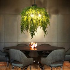 a dining room table with chairs and a plant hanging over it