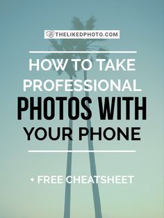 a palm tree with the words how to take professional photos with your phone and free chat sheet