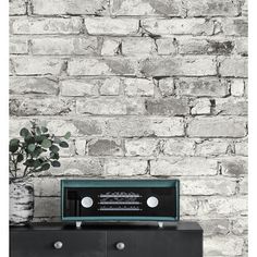 an old radio sitting on top of a dresser next to a potted plant in front of a brick wall