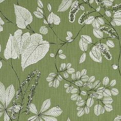 a green wallpaper with leaves and flowers on it