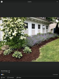 an image of a flower garden in front of a house with purple and white flowers