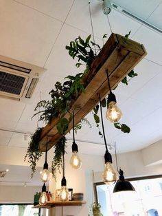 some lights hanging from a wooden beam with plants growing out of them and bulbs on the ceiling