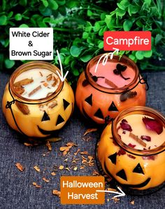 three halloween candles with labels on them and some leaves in the bottom one says campfire, white cider & brown sugar