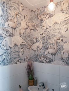 a bathroom with flamingos on the wall next to a sink