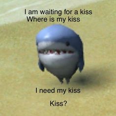 a cartoon shark with the caption i am waiting for a kiss where is my kiss?