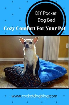 a small white dog sitting on top of a blue blanket with the words diy pocket dog bed cozy comfort for your pet