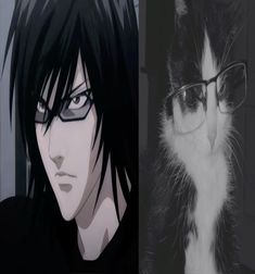 an anime character with black hair and glasses next to a white cat wearing eyeglasses