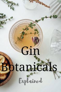 an image of gin botanicals drink in a glass on a white table with herbs