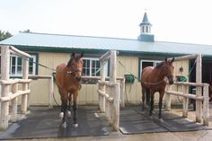 two brown horses standing next to each other in front of a white building with a green roof