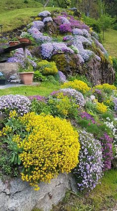 colorful flowers are growing on the side of a hill