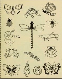 the different types of dragonflies and other insect species are shown in this black and white drawing